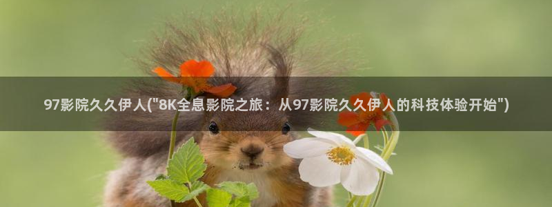 久久伊人香蕉网视频