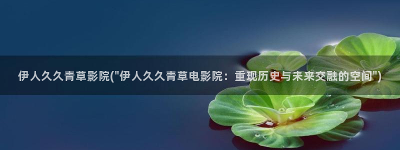 伊人情人综合网视频