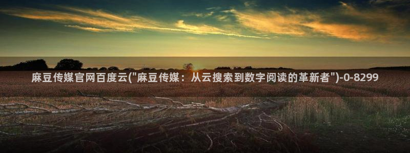 麻豆视频资料文案