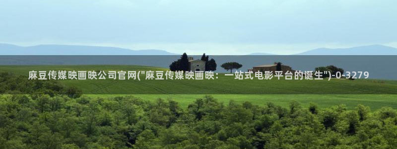 麻豆SEO模板