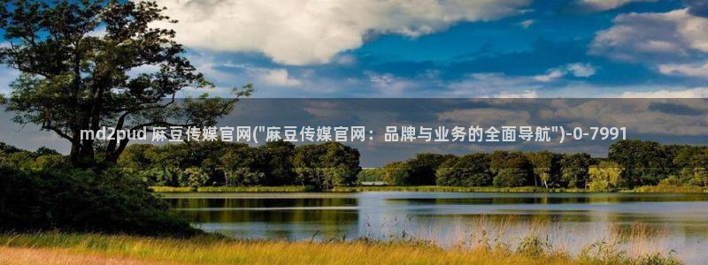 麻豆站内搜索