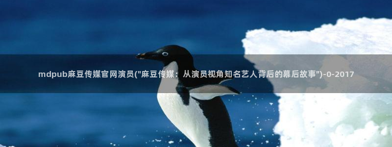 麻豆视频解说文案