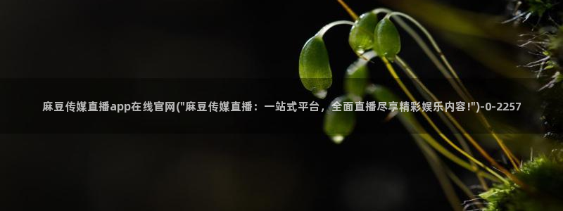 麻豆视频详情文案：麻豆传媒直播app在线官网(\