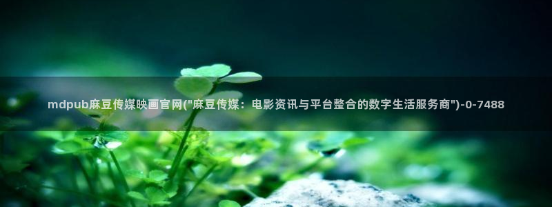 麻豆系列观看顺序：mdpub麻豆传媒映画官网(\