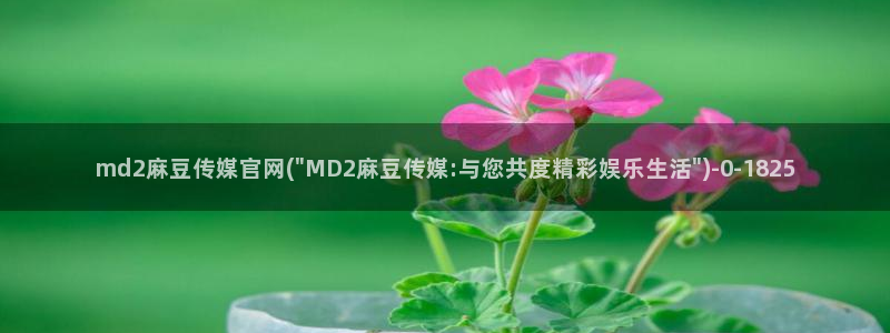 麻豆内容采集