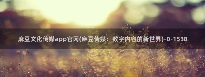 麻豆片单推荐