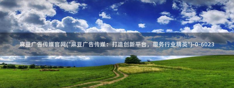 麻豆视频点评
