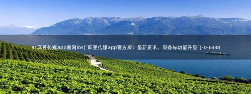 麻豆视频泛目录词