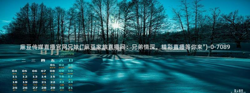 麻豆视频内容质量