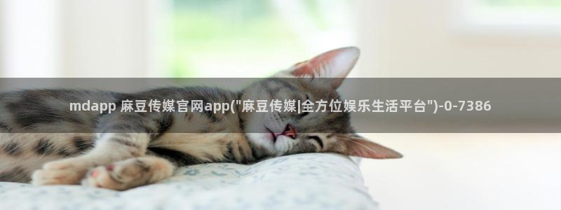 麻豆视频分类规则