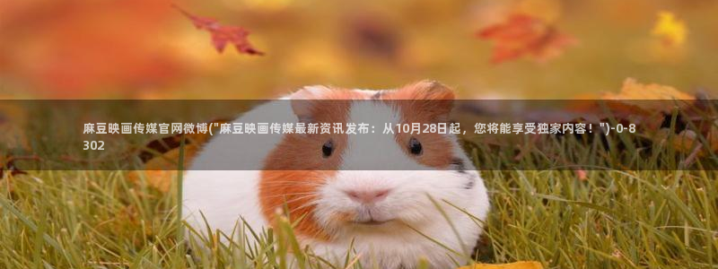 麻豆视频盘点