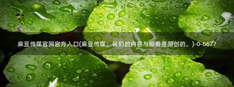 麻豆视频自动更新
