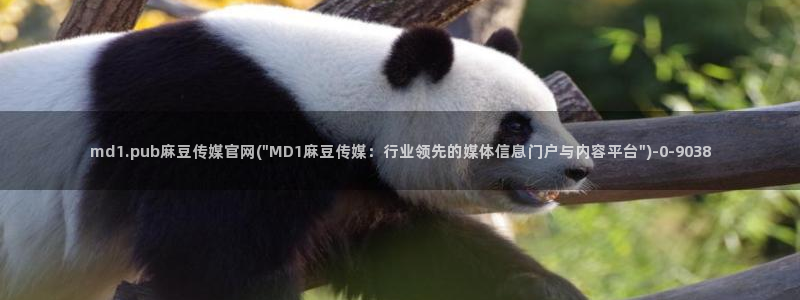 麻豆视频收藏
