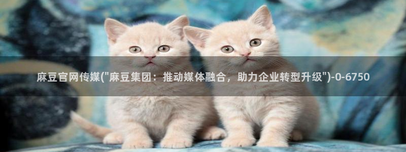 麻豆指南页