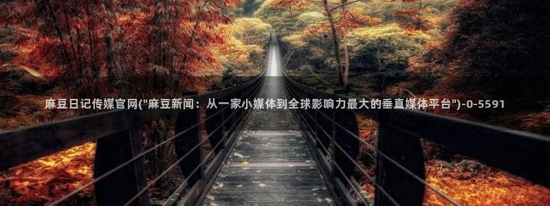 麻豆视频目录