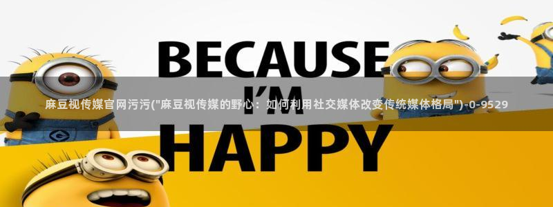 麻豆自定义库