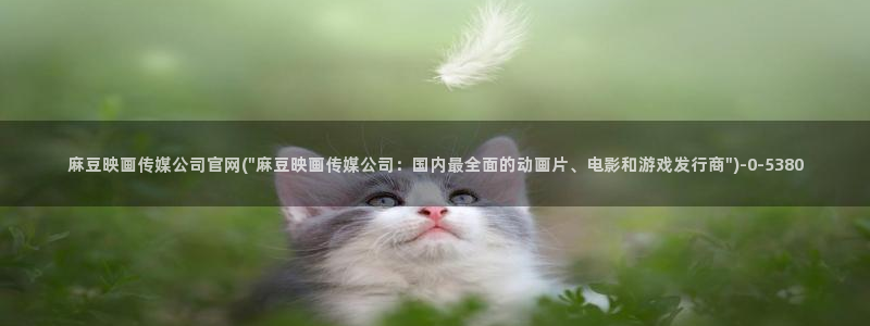 麻豆视频站内文案