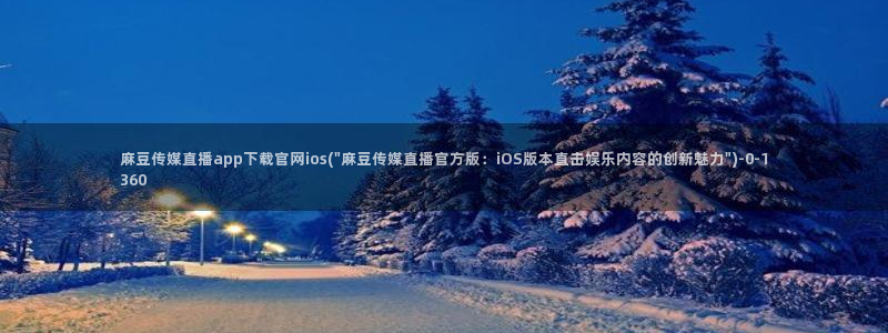 麻豆SEO关键词