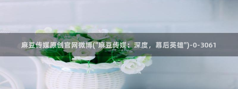 麻豆传媒合集