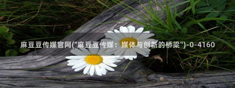 麻豆视频自然标题