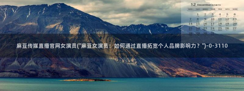 麻豆视频网站