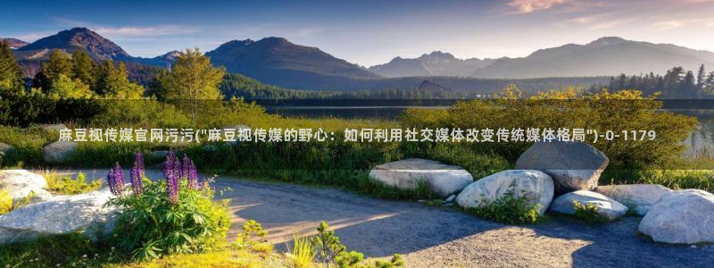 麻豆视频排行