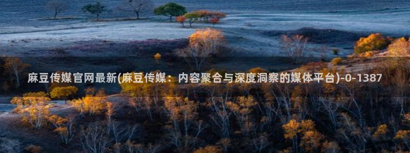 麻豆视频更新