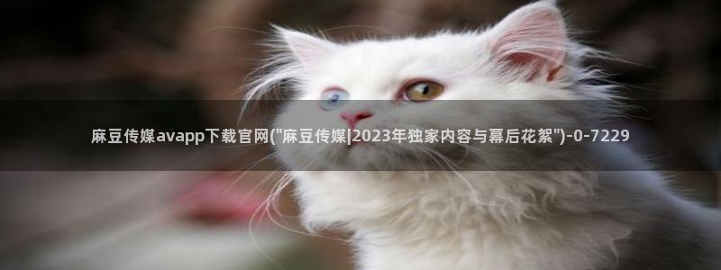麻豆专题页