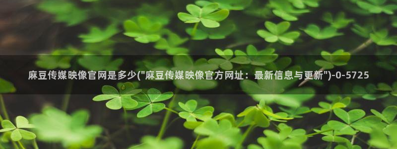 麻豆内容优化