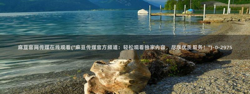麻豆分类库