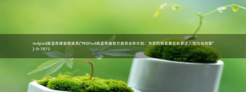 麻豆视频页面结构