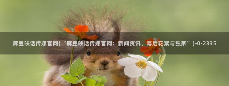 麻豆视频低竞争词