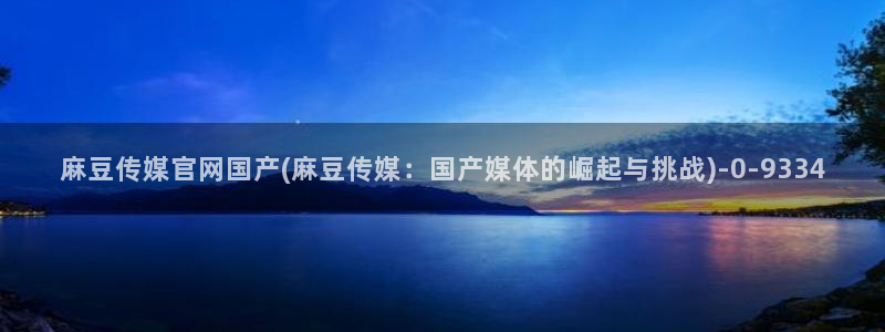 麻豆视频页面标题