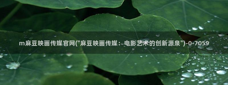 麻豆页面收录