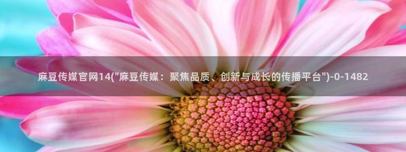 麻豆视频站