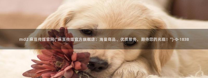 麻豆榜单页