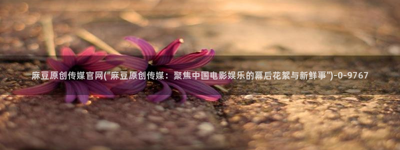麻豆视频泛目录词