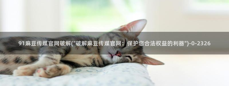麻豆反转剧情