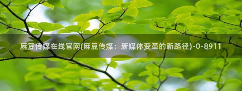 麻豆视频版权说明