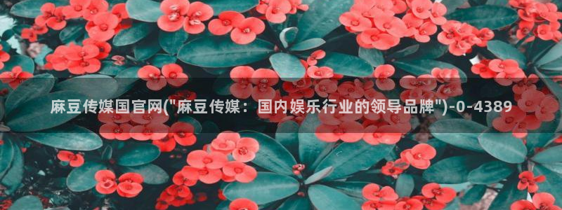 麻豆资源站模板：麻豆传媒国官网(\