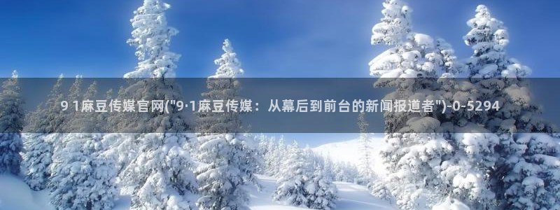 麻豆标题优化