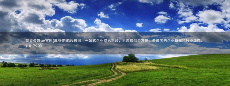 麻豆高口碑视频