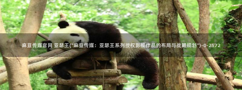 麻豆影视站